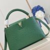 Louis Vuitton Capucines MM
