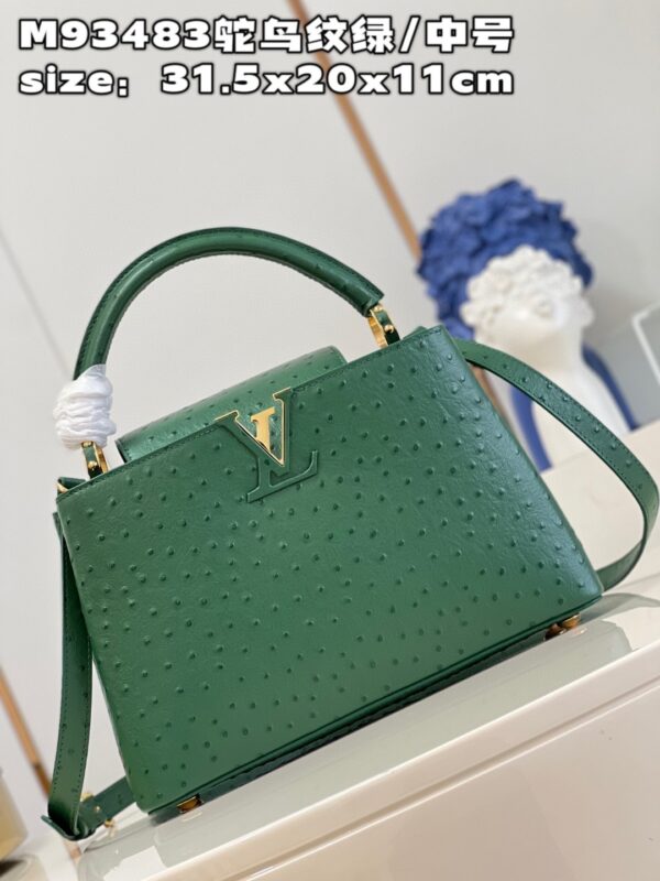 Louis Vuitton Capucines MM