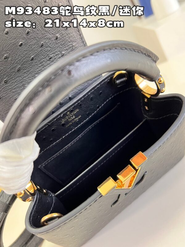 Louis Vuitton Capucines Mini
