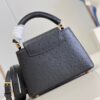 Louis Vuitton Capucines Mini