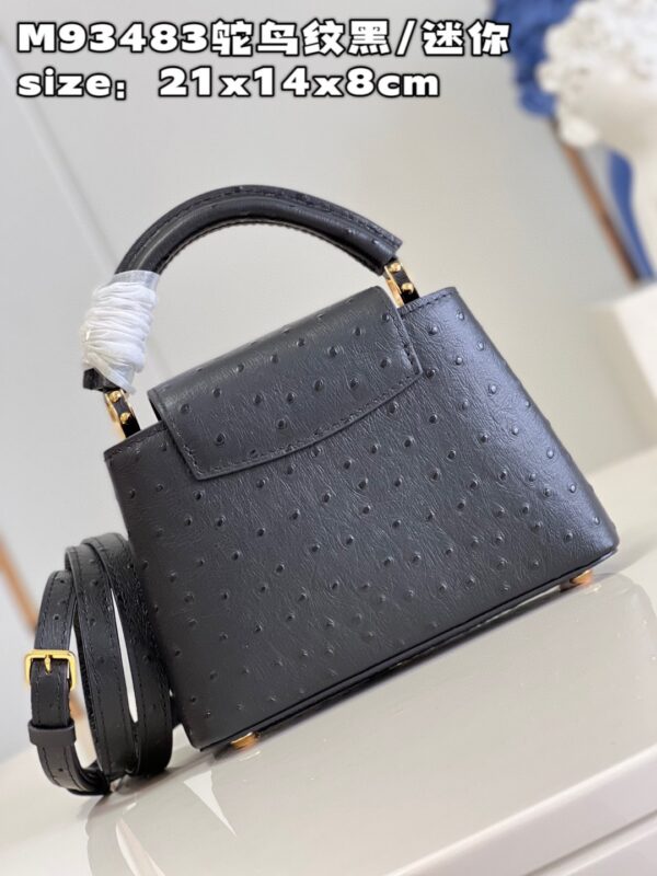 Louis Vuitton Capucines Mini