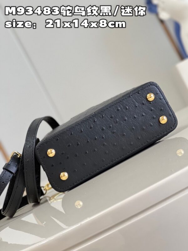 Louis Vuitton Capucines Mini