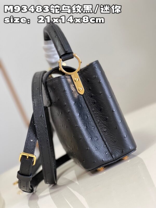 Louis Vuitton Capucines Mini