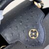 Louis Vuitton Capucines Mini
