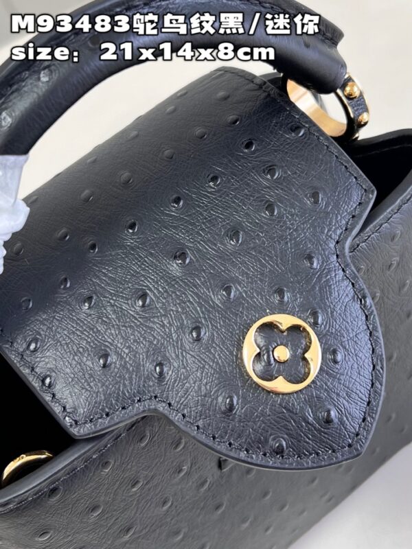 Louis Vuitton Capucines Mini