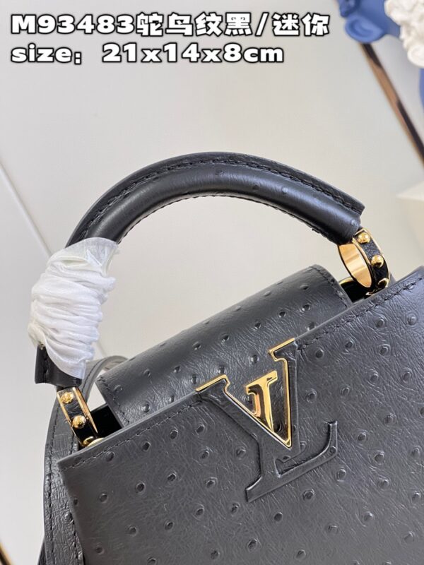 Louis Vuitton Capucines Mini