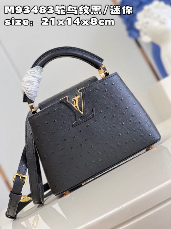 Louis Vuitton Capucines Mini