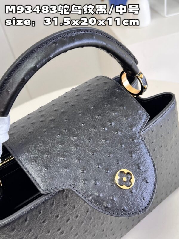 Louis Vuitton Capucines MM