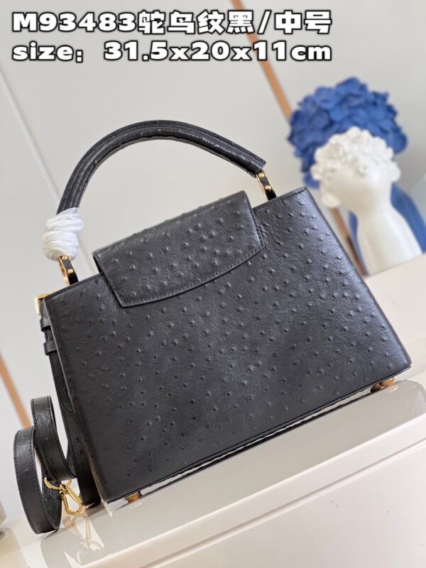 Louis Vuitton Capucines MM