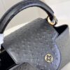 Louis Vuitton Capucines MM