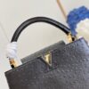 Louis Vuitton Capucines MM