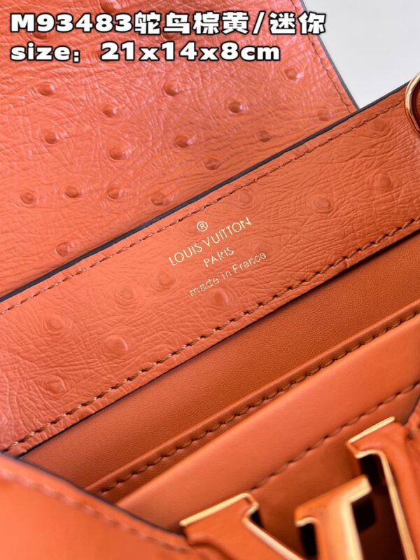 Louis Vuitton Capucines Mini