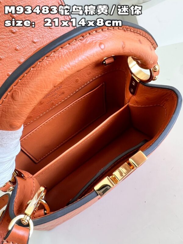 Louis Vuitton Capucines Mini