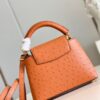 Louis Vuitton Capucines Mini