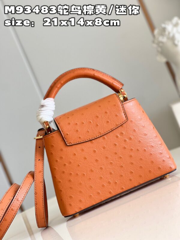 Louis Vuitton Capucines Mini