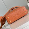 Louis Vuitton Capucines Mini