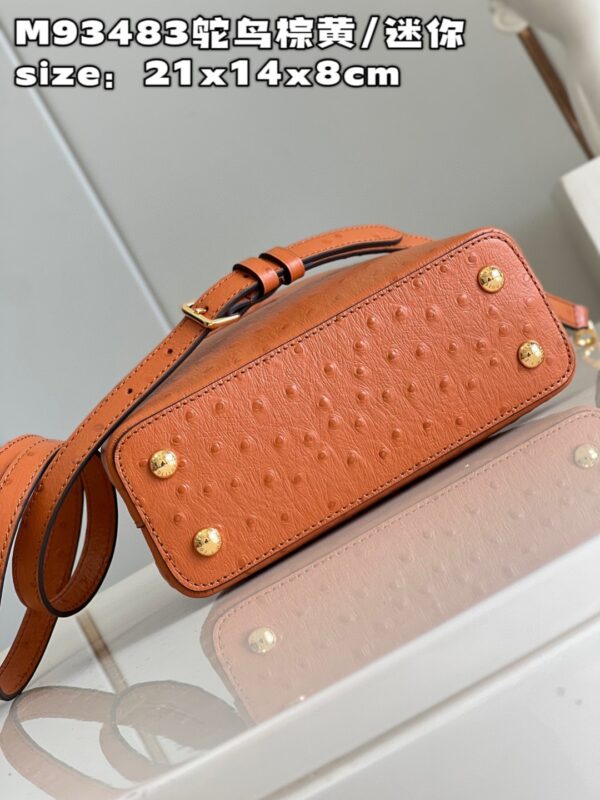 Louis Vuitton Capucines Mini