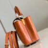 Louis Vuitton Capucines Mini