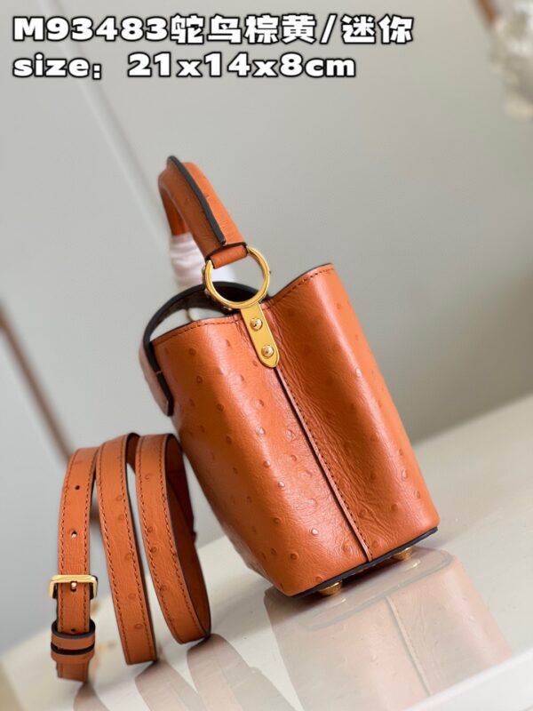 Louis Vuitton Capucines Mini