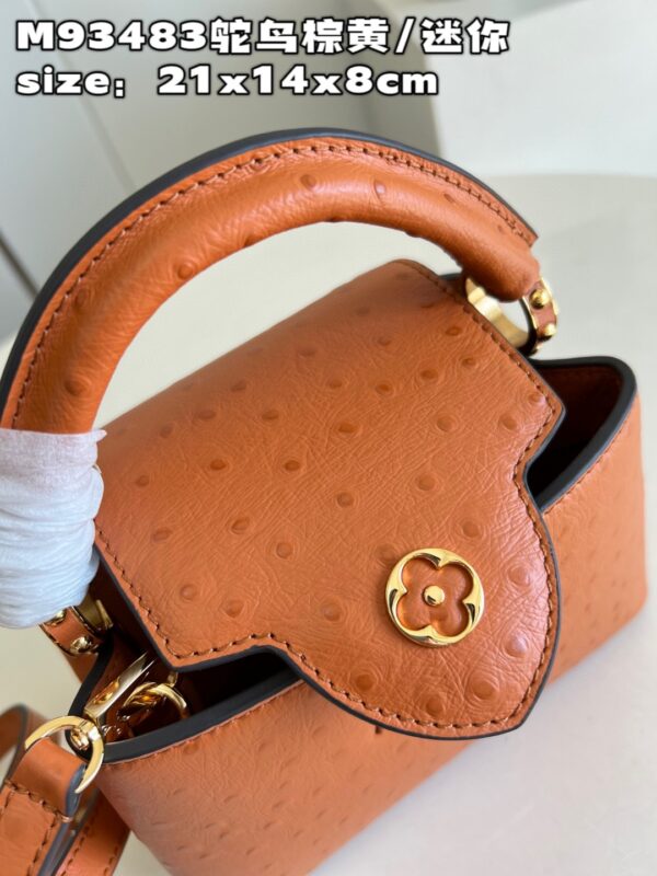 Louis Vuitton Capucines Mini