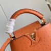 Louis Vuitton Capucines Mini