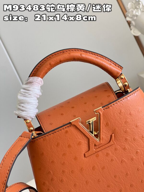 Louis Vuitton Capucines Mini