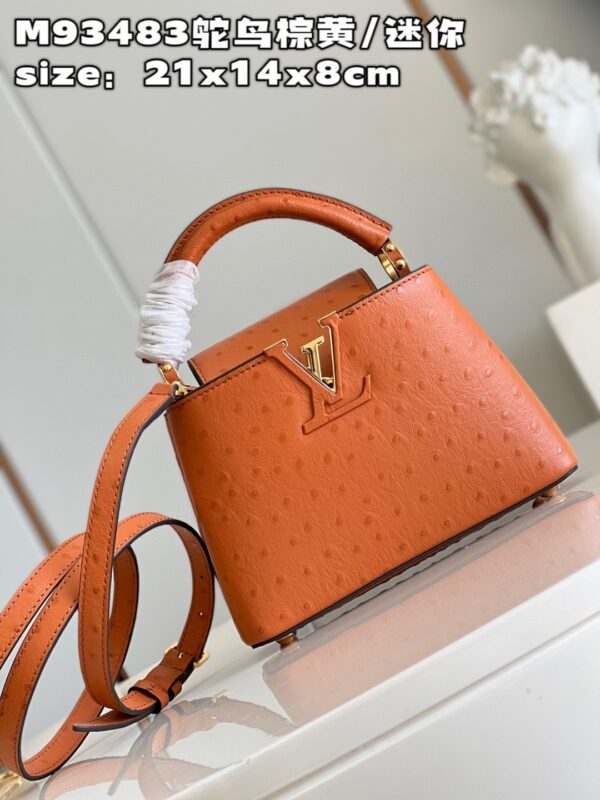 Louis Vuitton Capucines Mini