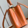 Louis Vuitton Capucines BB
