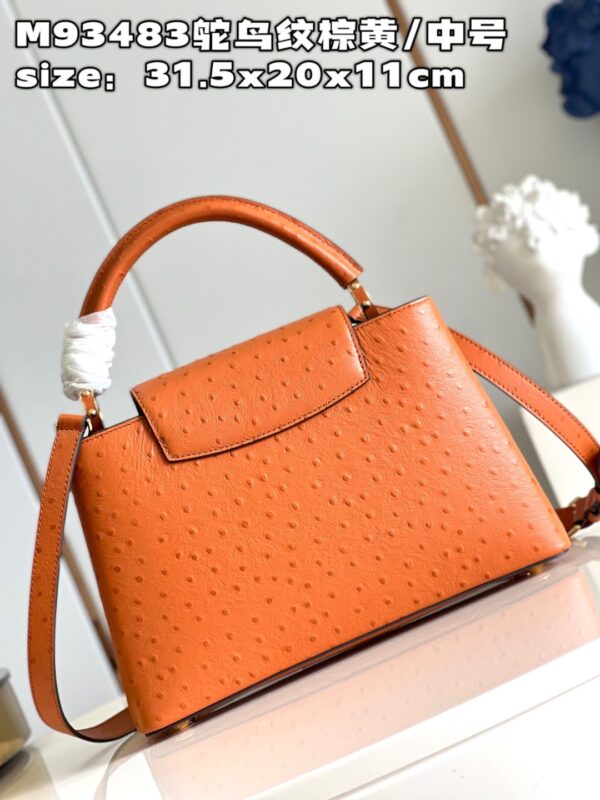 Louis Vuitton Capucines MM