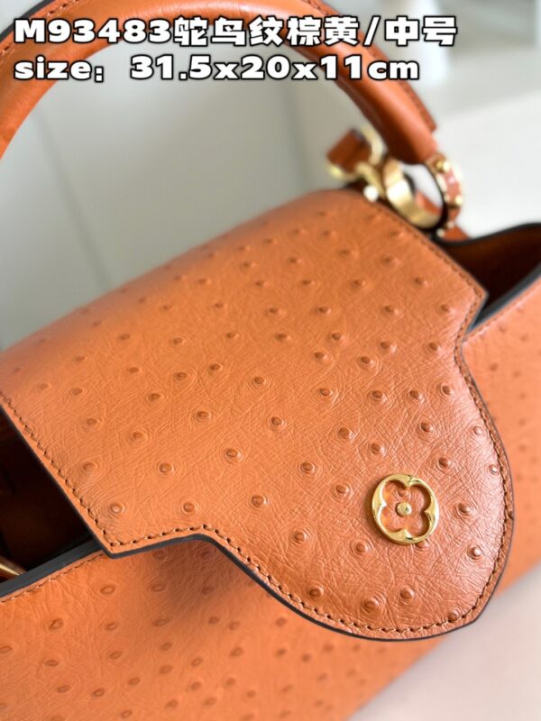 Louis Vuitton Capucines MM