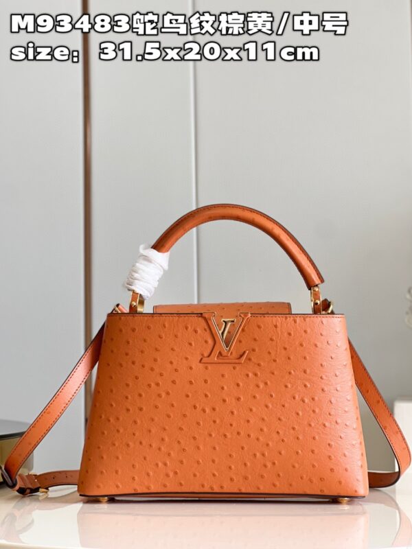 Louis Vuitton Capucines MM