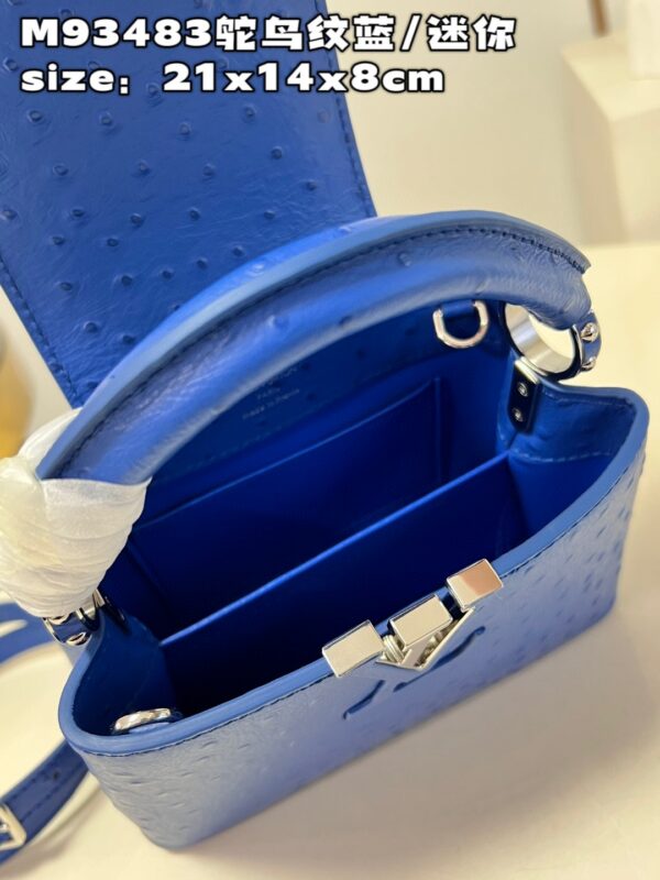 Louis Vuitton Capucines Mini