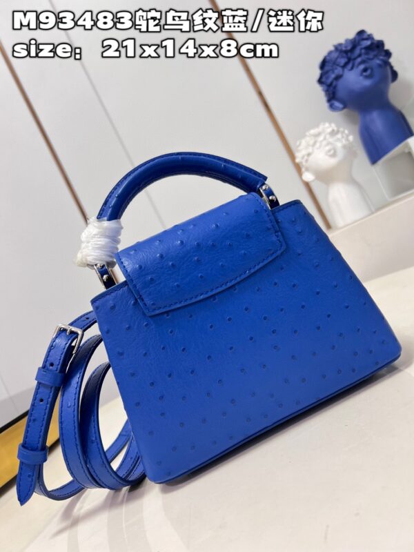 Louis Vuitton Capucines Mini