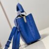 Louis Vuitton Capucines Mini
