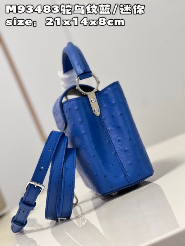 Louis Vuitton Capucines Mini