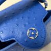 Louis Vuitton Capucines Mini