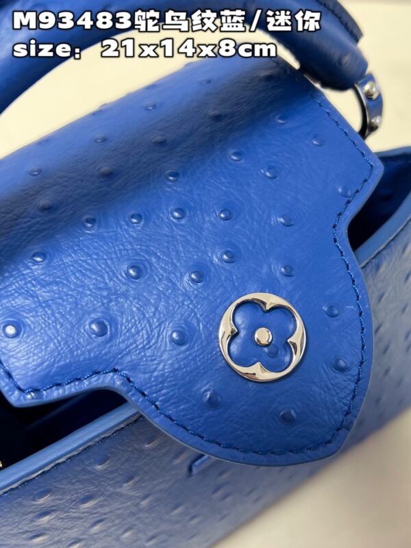 Louis Vuitton Capucines Mini