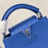 Louis Vuitton Capucines Mini