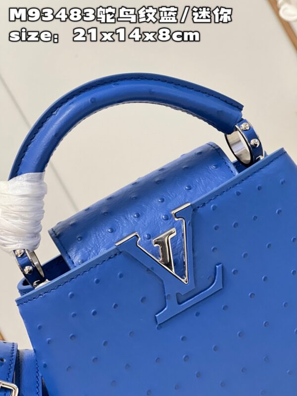 Louis Vuitton Capucines Mini