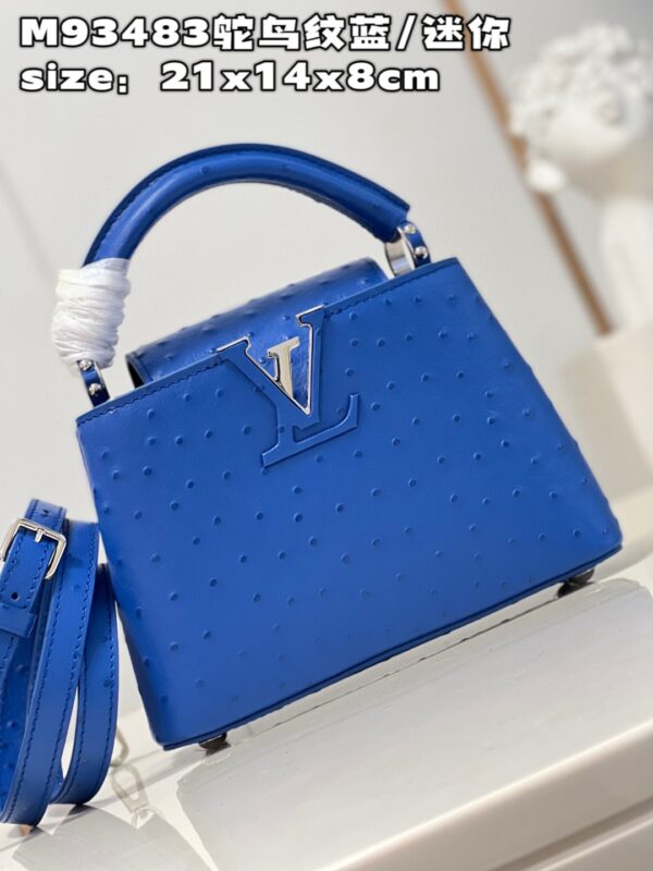 Louis Vuitton Capucines Mini