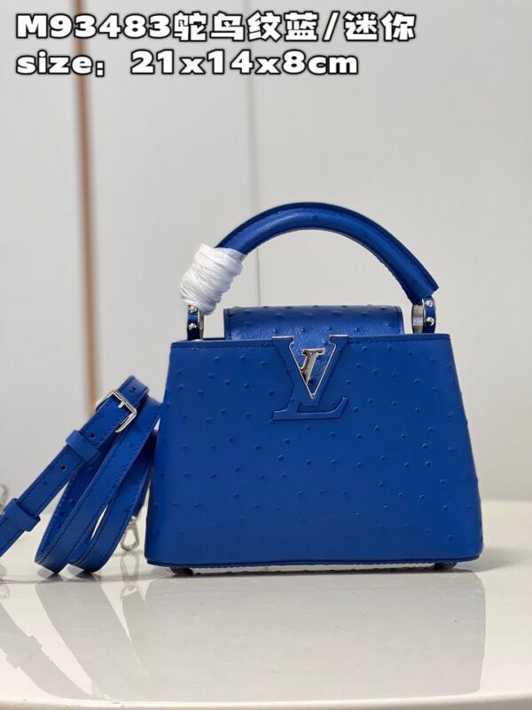 Louis Vuitton Capucines Mini