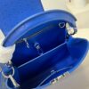 Louis Vuitton Capucines BB