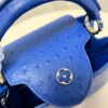 Louis Vuitton Capucines BB