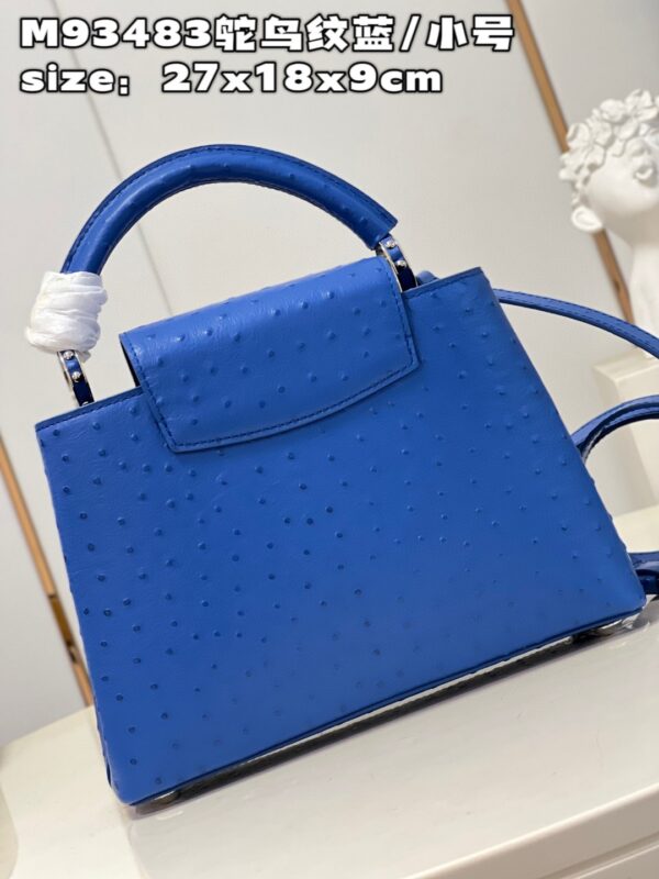 Louis Vuitton Capucines BB