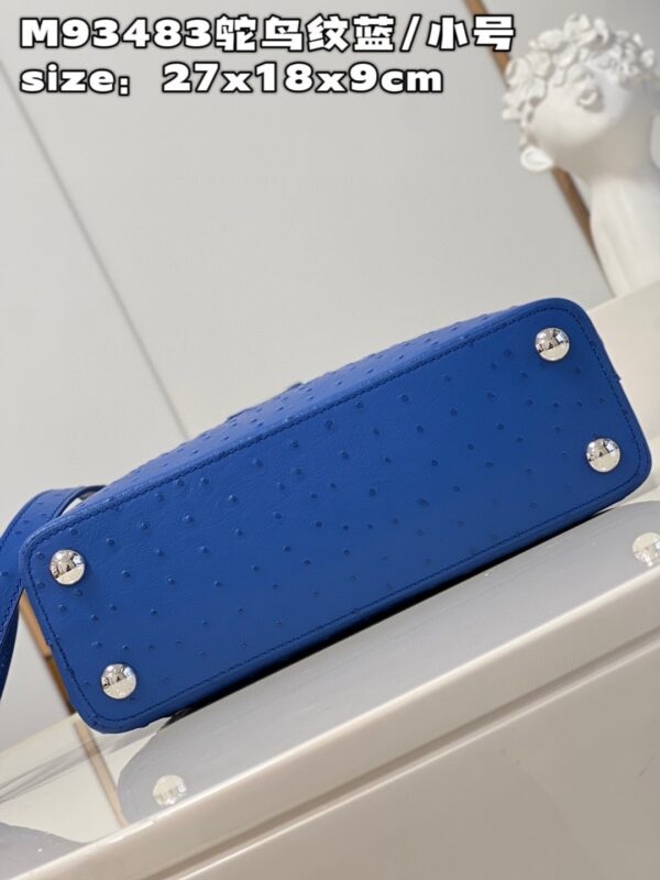 Louis Vuitton Capucines BB