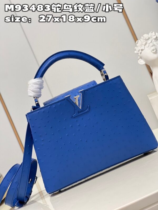 Louis Vuitton Capucines BB