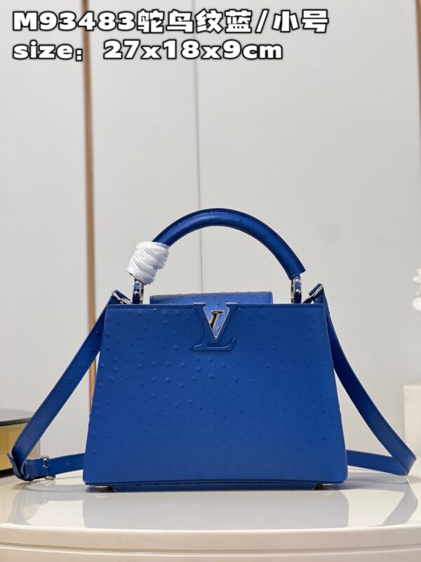 Louis Vuitton Capucines BB