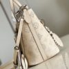 Louis Vuitton Blossom PM