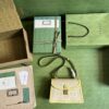 GUCCI OPHIDIA Epilogue