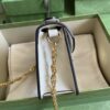 Gucci Ophidia GG mini shoulder bag